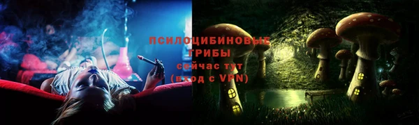 jwh Краснослободск
