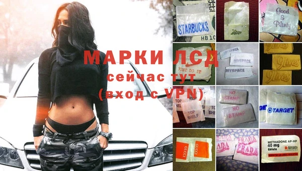 дурь Корсаков