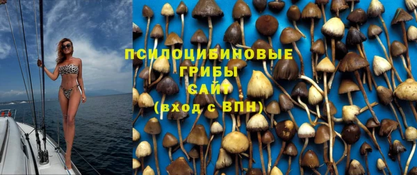 дурь Корсаков