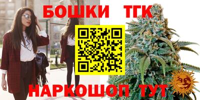 Альфа ПВП Можайск