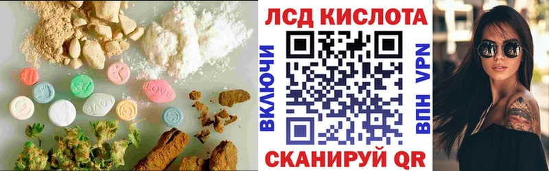 kraken зеркало  Тында  Лсд 25 экстази кислота 