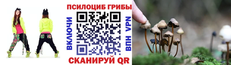 Псилоцибиновые грибы MAGIC MUSHROOMS  продажа наркотиков  Тында 
