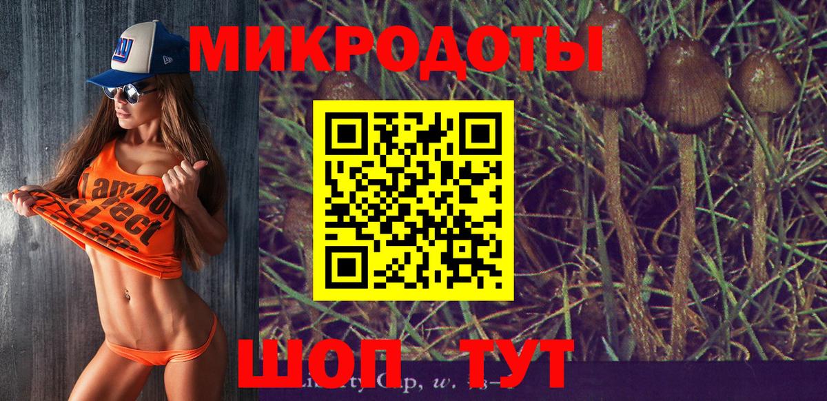 Псилоцибиновые грибы Psilocybe  Псилоцибиновые грибы мухоморы  Тында 