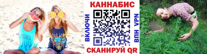 Каннабис планчик  как найти наркотики  Тында 